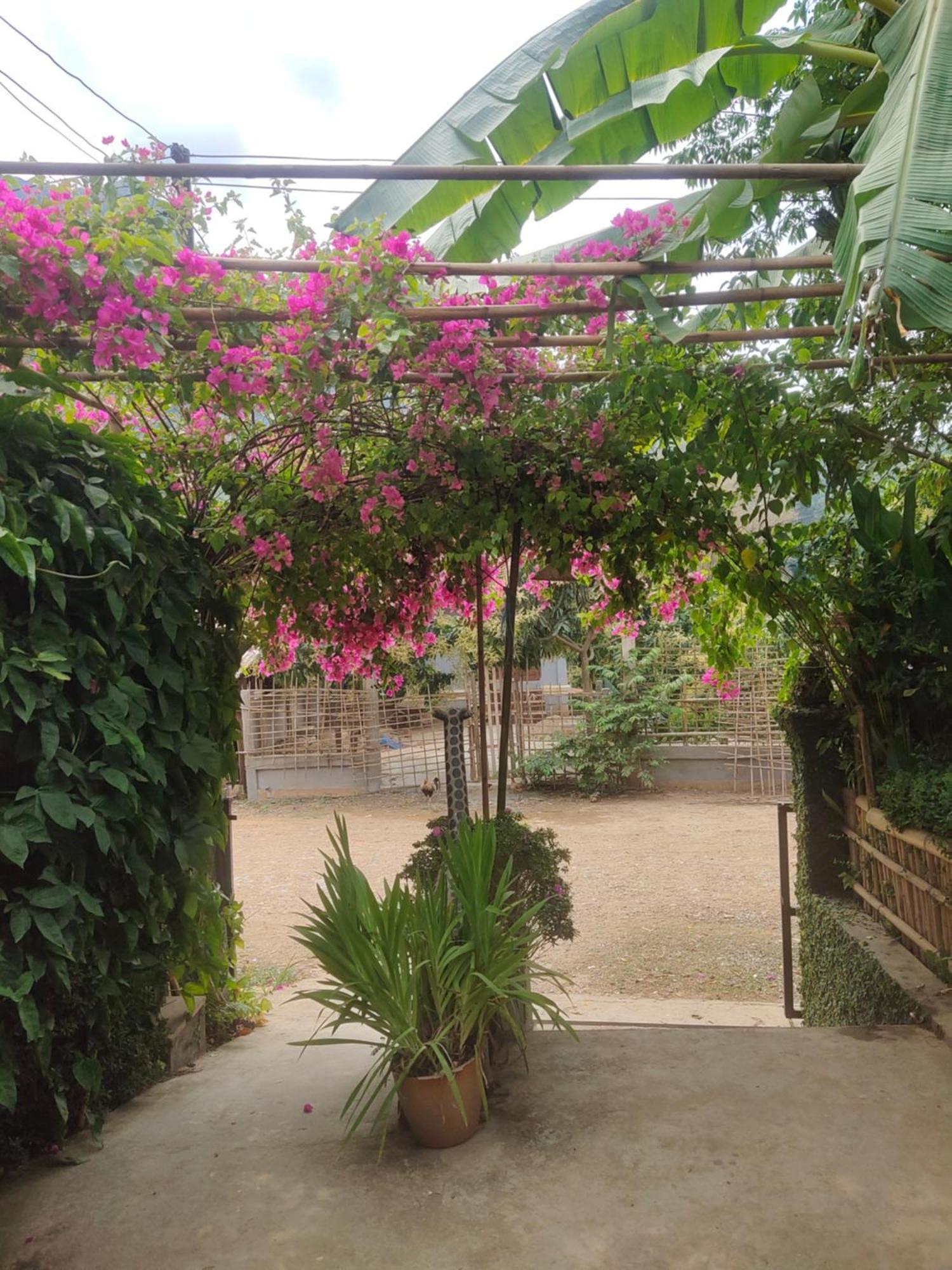 Meexok Guesthouse Nongkhiaw Eksteriør bilde